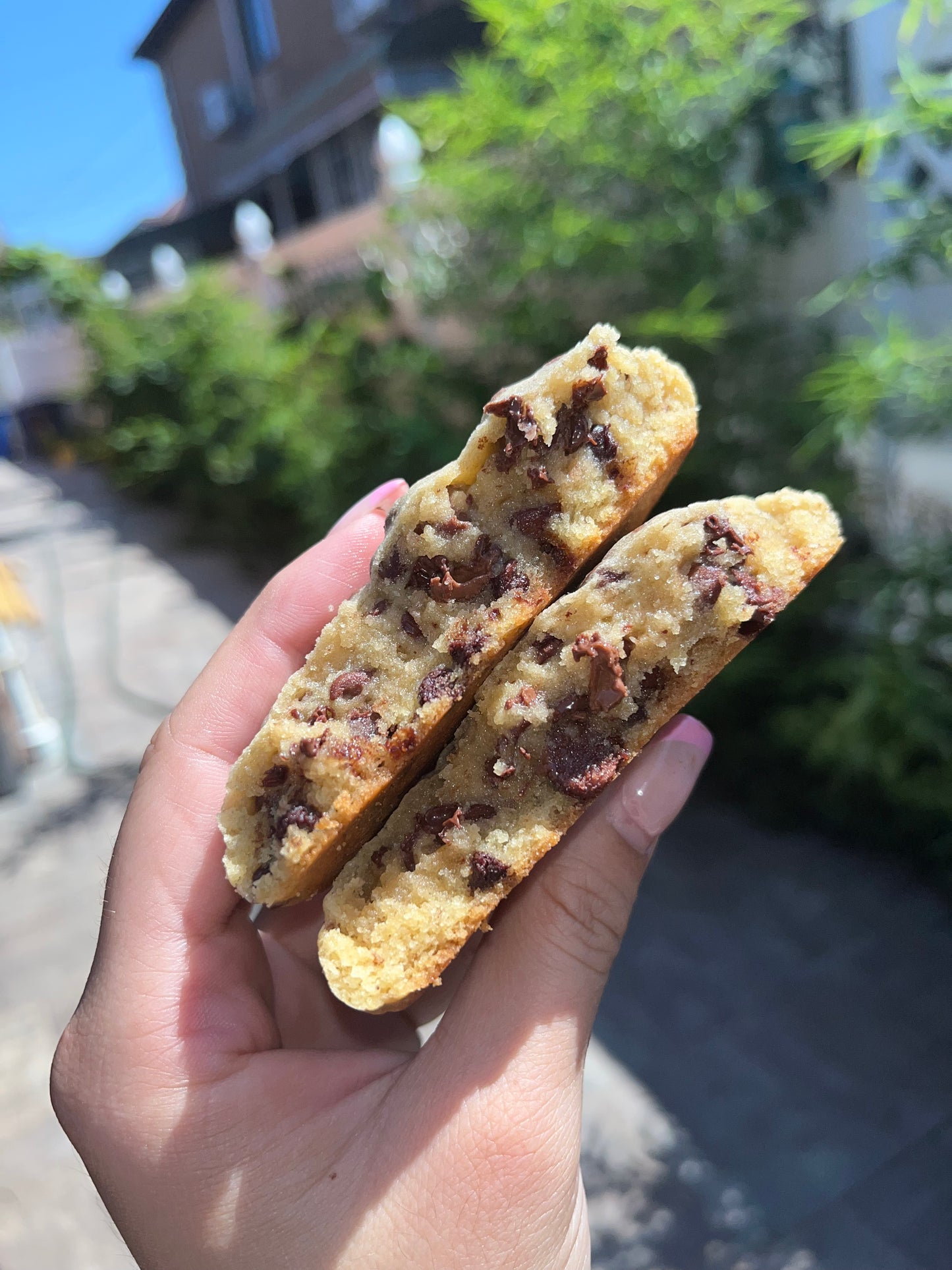 Chocolate Chip Cookies